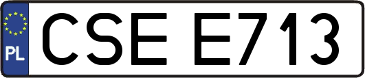 CSEE713
