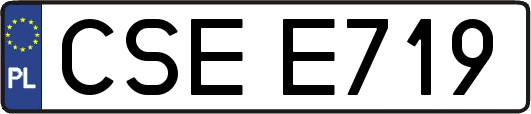 CSEE719
