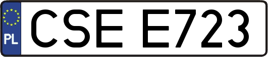 CSEE723