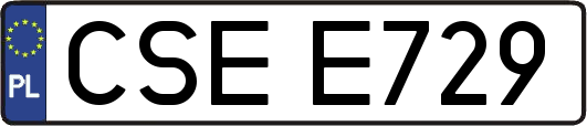 CSEE729