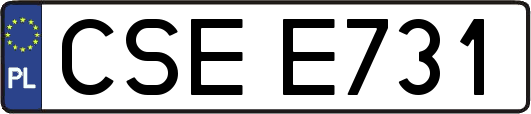 CSEE731