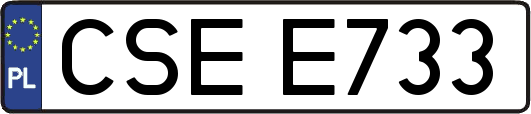 CSEE733