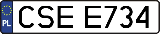 CSEE734
