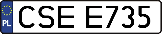 CSEE735