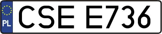 CSEE736