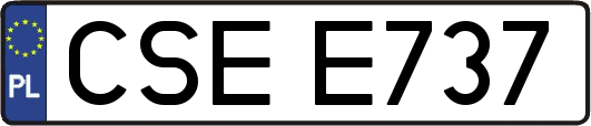 CSEE737