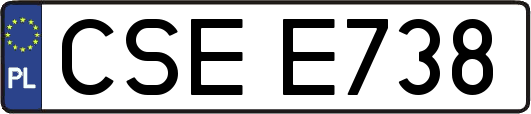 CSEE738