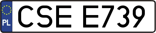 CSEE739