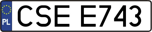 CSEE743