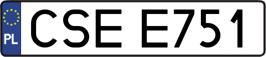 CSEE751