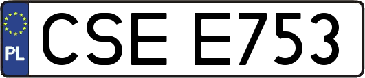 CSEE753