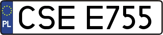 CSEE755