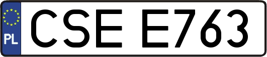 CSEE763