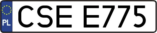 CSEE775