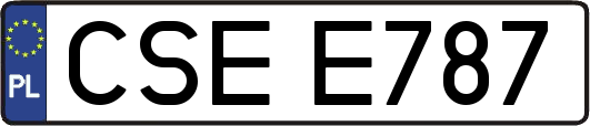 CSEE787
