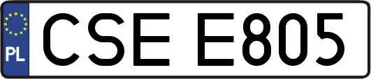 CSEE805