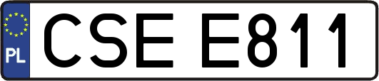 CSEE811