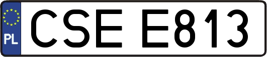 CSEE813