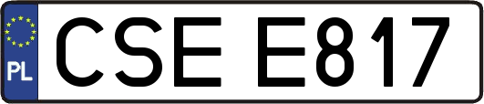 CSEE817