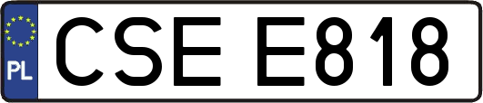 CSEE818