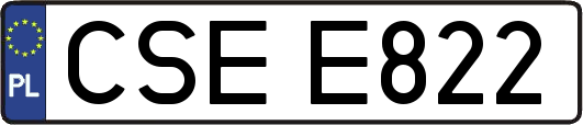 CSEE822