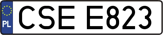 CSEE823