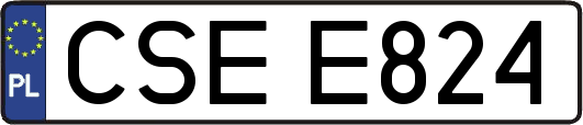 CSEE824