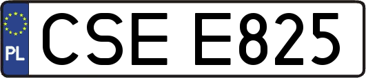CSEE825