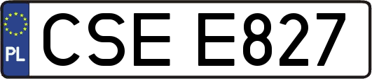 CSEE827