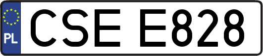 CSEE828