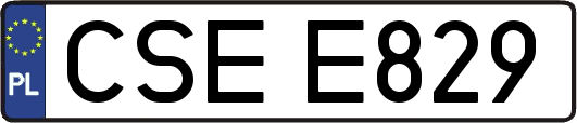 CSEE829