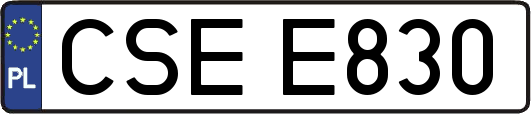 CSEE830