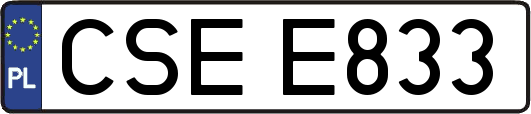 CSEE833
