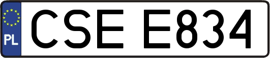 CSEE834