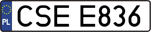 CSEE836
