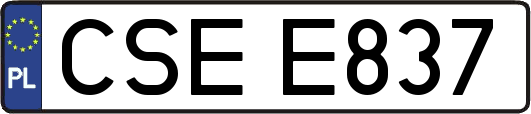CSEE837