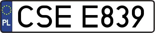 CSEE839