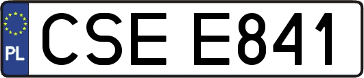CSEE841