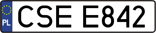 CSEE842