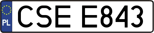 CSEE843