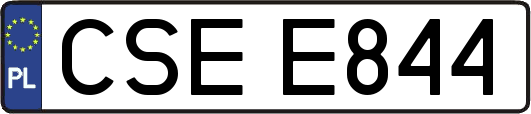 CSEE844