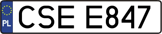 CSEE847
