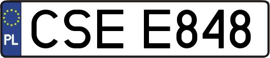 CSEE848