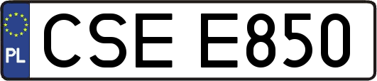 CSEE850