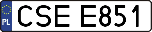 CSEE851