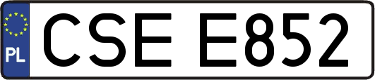 CSEE852
