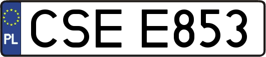 CSEE853