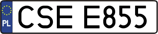 CSEE855