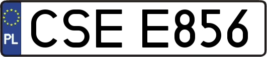 CSEE856