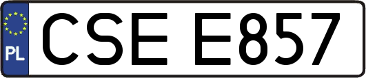 CSEE857
